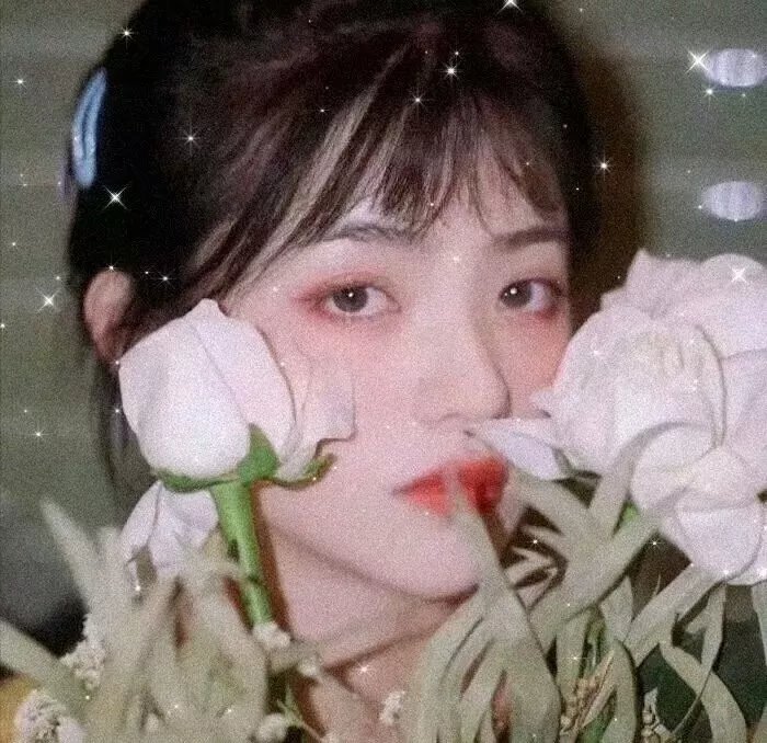 聪明的小母鸡